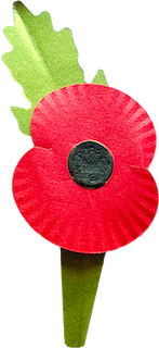 Paper poppy